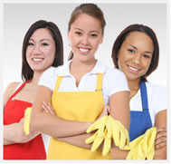 Basement Bathroom 07924 Mold Testing Matawan NJ Mold Inspection 07901 Mold Removal Sayreville NJ Mold Remediation 07747 Bathroom Basement