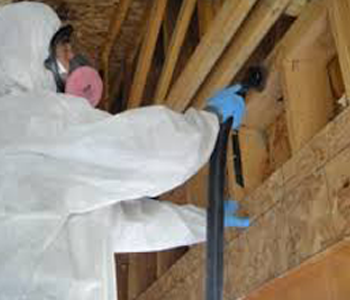 closet crawl space bathroom mold inspection and testing services in Keyport NJ 07735