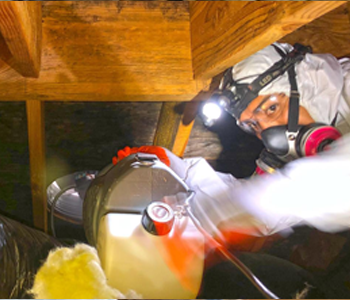 basement bathroom mold remediation and inspection services being carried out in 07735 Monmouth County