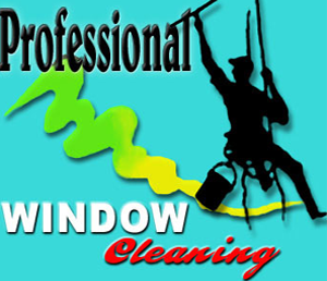 kitchen attic Monmouth County mold removal and remediation services in Keyport NJ 07735